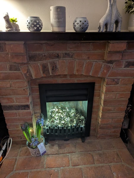 Is anyone planning on "wintering"?