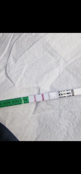 17dpo negative tests