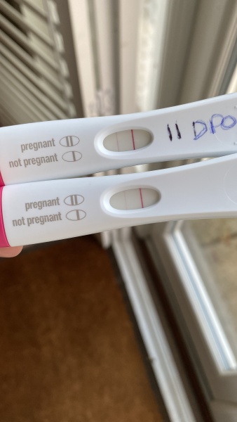 Immune/NK cells pred thread #33