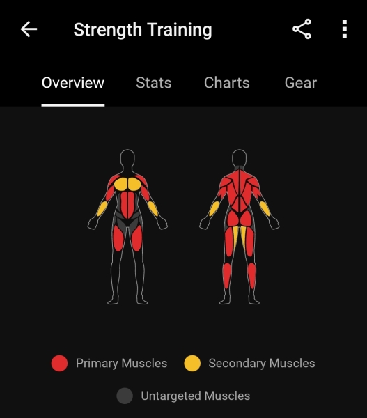 Running goals, motivation and chat 2025