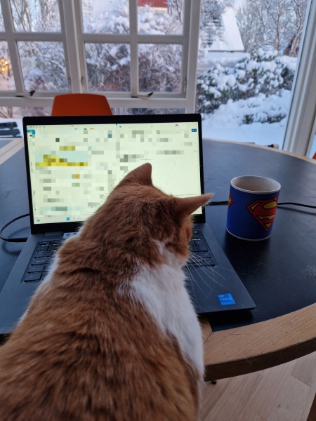 Lap dances, strippers and punch-ups - the Excellent Cats arrange a stag party