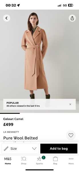 Help identifying gorgeous full-length camel coat pls