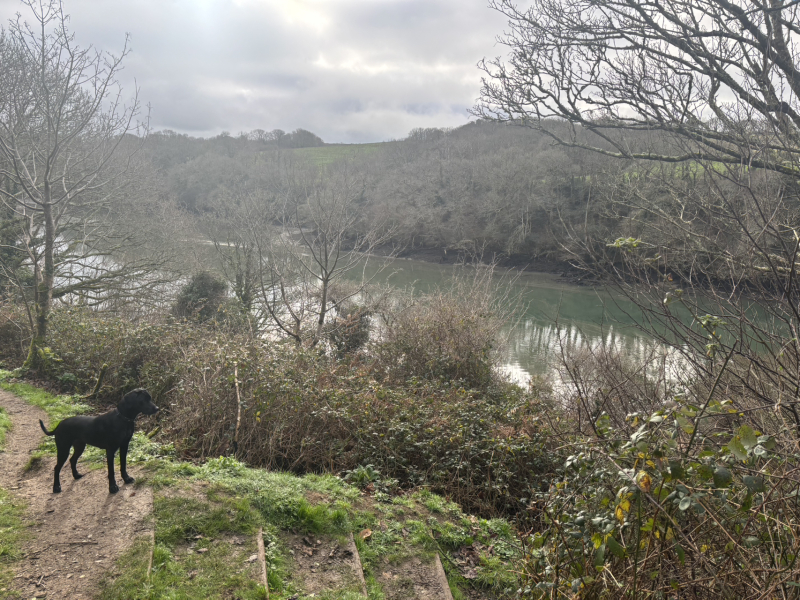 The Nigel Slater Christmas Chronicles Readalong 2024 Part 3