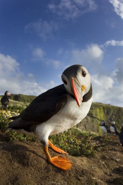 Ladies and Ladies: The Bluestocking is open: again