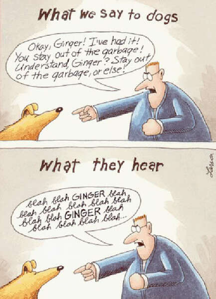 To think some dogs can actually pick human language?