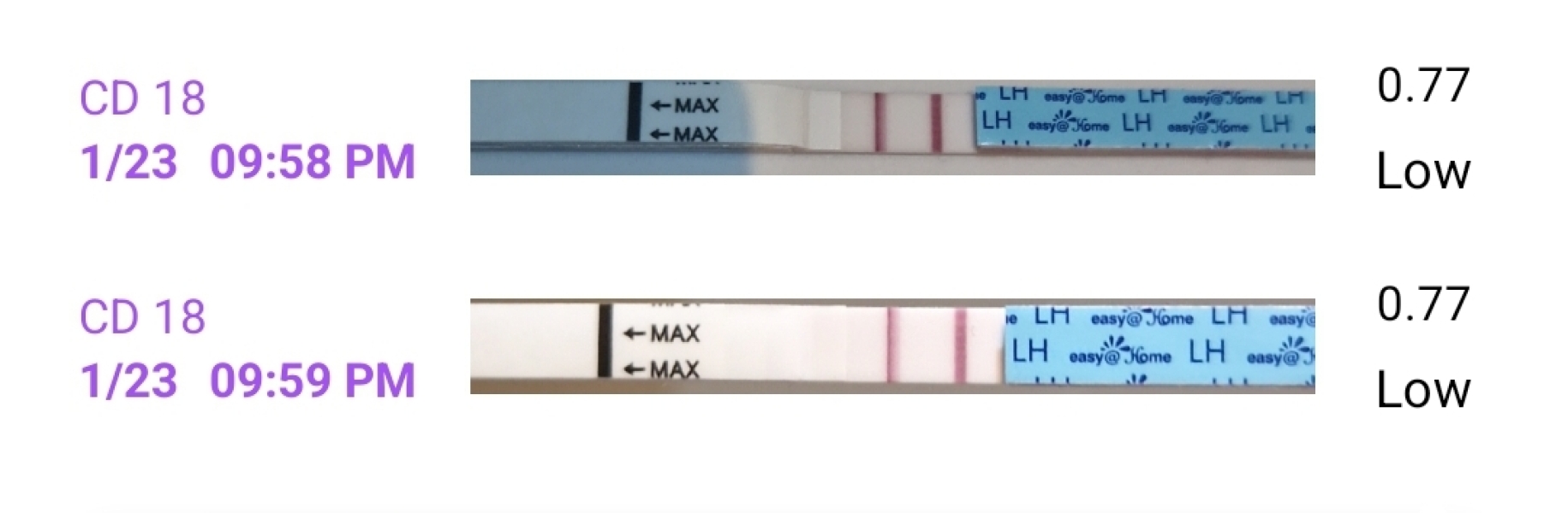 Ovulation test.