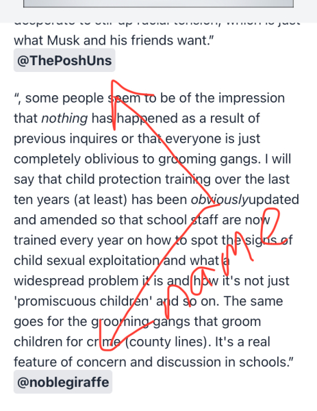 Dominic Cummings is Musk's informer