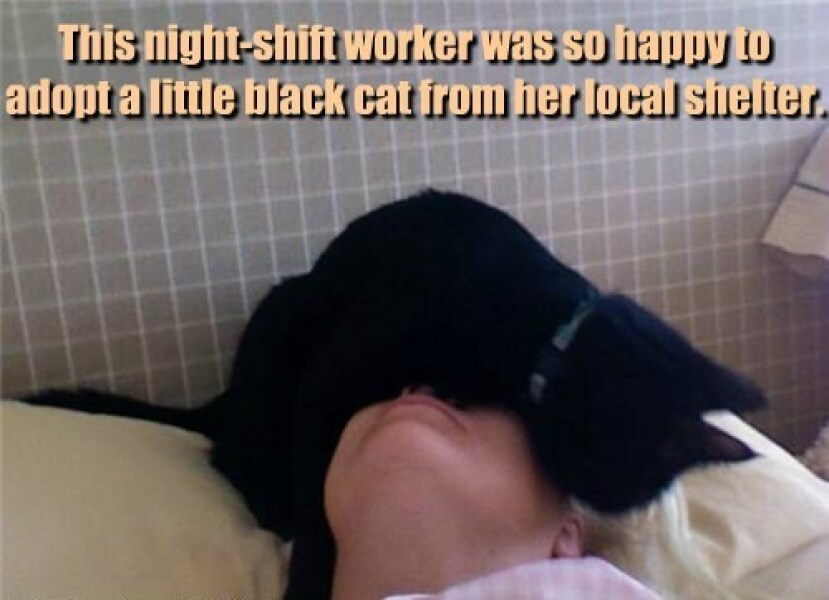 Black cat appreciation (pics please)