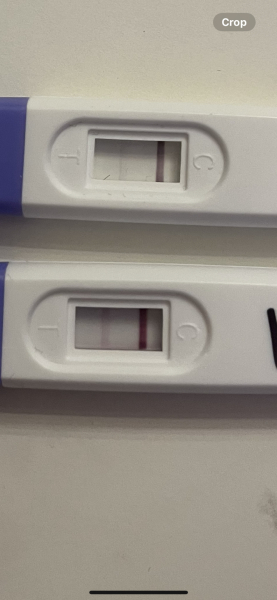 Not sure if positive or evap line