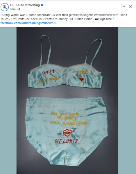 Pronoun policing in hobby groups