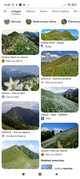 Alpine meadow-type walking holiday