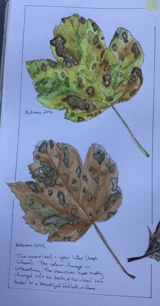 Any Witches here? Part 20