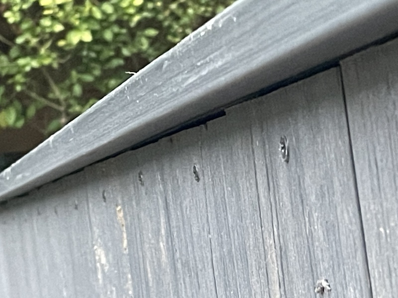 Decking finish opinion. Rough?