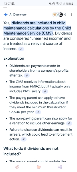 CHILD MAINTENANCE AND LTD Company’s