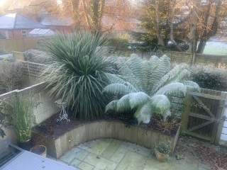 The Nigel Slater Christmas Chronicles Readalong 2024 Part 3