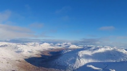 ⭐️LOSE IT! January 2025. Revive & Thrive⭐️