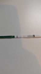 How do I know if it's an evap line?