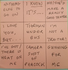 The Traitors 7 (with optional Bingo cards!)