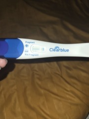 Pregnant or Not Pregant
