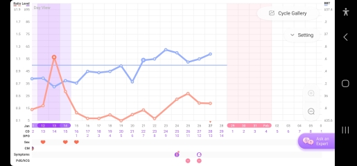 13dpo and not sure if pregnant