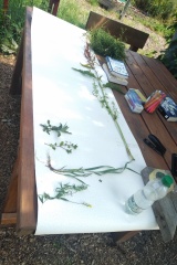 Christian Sabbath Keepers