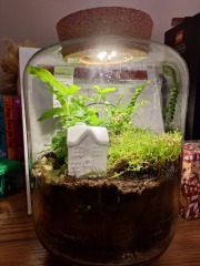 The Nigel Slater Christmas Chronicles Readalong 2024 Part 3