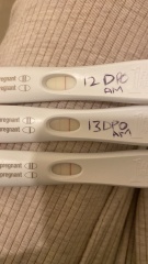 Immune/NK cells pred thread #33