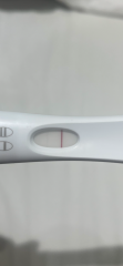 2ww currently 2dpo