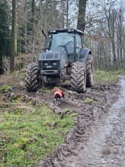 The Nigel Slater Christmas Chronicles Readalong 2024 Part 3