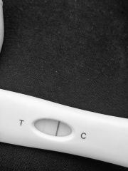 Test look likes an evap but not sure