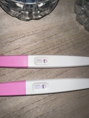 Please help, is this a miscarriage?