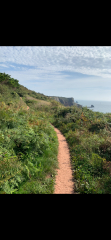 Is there any ethical way to go on holiday to Cornwall WRT the housing crisis?