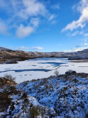 Mounjuro August starters - thread 10 !!!!