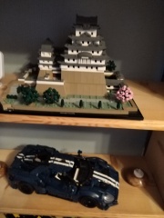 To show me your Lego collection?