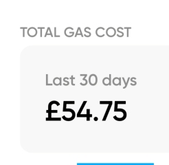 Hiw much was  your January gas and elec bill?