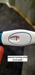 Very early pregnancy test