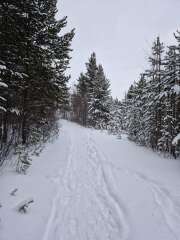 The Nigel Slater Christmas Chronicles Readalong 2024 Part 3