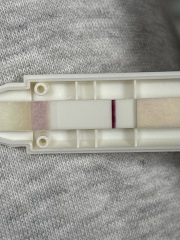 Disappearing line on test