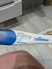 Pregnancy Line