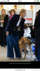 Royal Style: Take the Tiaras out of The Vault! Sparkles aren't just for Christmas!