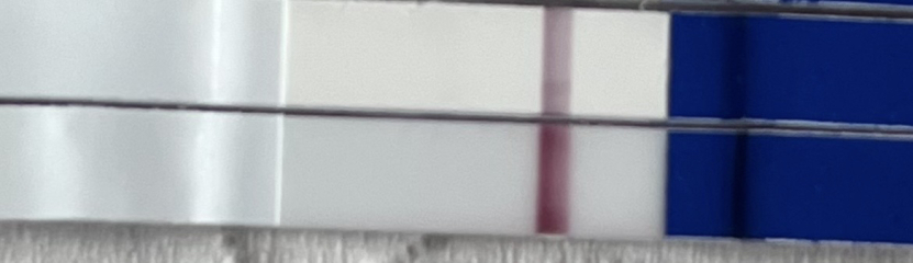 4dpo who's with me?!