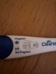Pregnant or evap