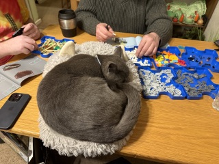 Ring Out, Wild Bells! As 2025 approaches, the Excellent Cats raise their game with a discussion on Tennyson's poetry