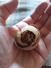 Any Witches here? Part 20