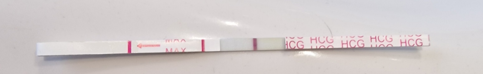 January TTC Support Group 💚