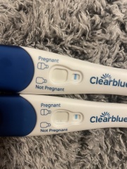 Clear blue test. Evap line or positive