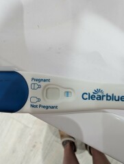 Pregnancy Line