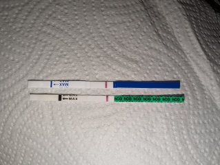12 days late, BFN, positive opk