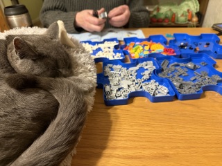 Ring Out, Wild Bells! As 2025 approaches, the Excellent Cats raise their game with a discussion on Tennyson's poetry