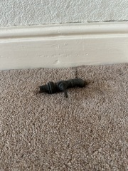 Pipe coming out of floor -1930’s